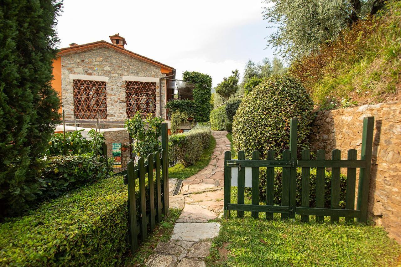 Casetta Di Butia, Gelsomino Apartment Borgo a Mozzano Exteriör bild