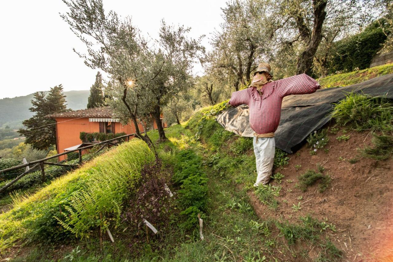 Casetta Di Butia, Gelsomino Apartment Borgo a Mozzano Exteriör bild