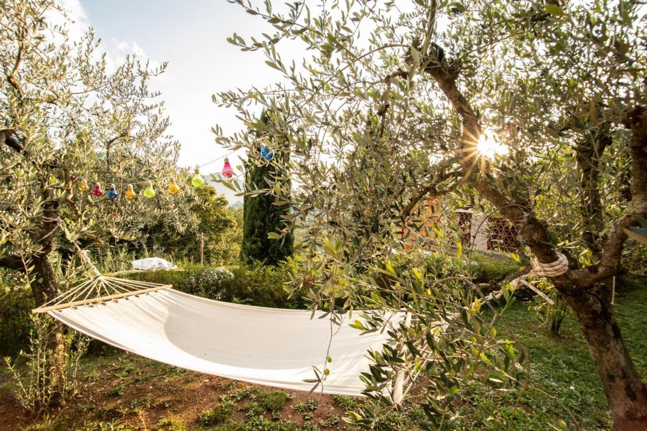 Casetta Di Butia, Gelsomino Apartment Borgo a Mozzano Exteriör bild